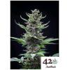 FAST BUDS - TROPICANA COOKIES AUTO - 2 SEMI 