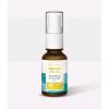 HARMONY - OLIO SPRAY CBD 15ML - MENTA - 500MG - REGISTRATO COMESTICO