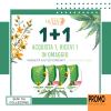 ROYAL QUEEN SEEDS: Autofiorenti 1+1
