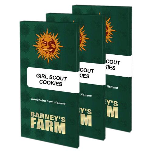 BARNEY'S FARM - GIRL SCOUT COOKIES FEM - 5 SEEDS