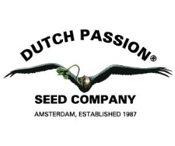 Dutch Passion