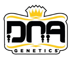 DNA Genetics 