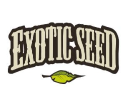 Exotic Seeds