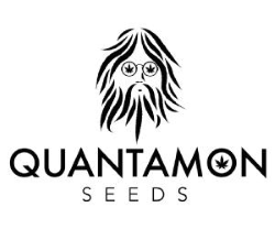 Quantamon Seeds