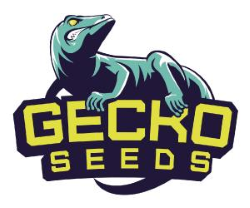 Gecko Seeds