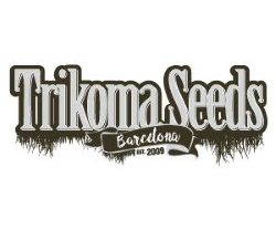 Trikoma Seeds