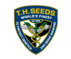 TH Seeds