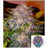 DELICIOUS SEEDS - CARAMELO FEM - 3 SEMI