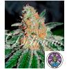 DELICIOUS SEEDS - CBD JAM - 3 SEMI