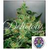 DELICIOUS SEEDS - CRITICAL JACK HERER AUTO - 3 SEMI