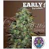 DELICIOUS SEEDS - ELEVEN ROSES - EARLY VERSION - 1 SEED