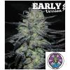 DELICIOUS SEEDS - GOLOSA - EARLY VERSION - 3 SEMI