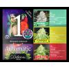 DELICIOUS SEEDS - AUTOMATIC # 1 - AUTO COLLECTION - 9 SEMI