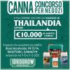 CONCORSO CANNA 2023