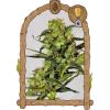 EXOTIC - SPICY BITCH FEM - 10 SEEDS