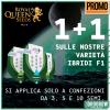 ROYAL QUEEN SEEDS: Promo Ibridi F1