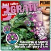 DELICIOUS SEEDS: Beautiful Christmas gift