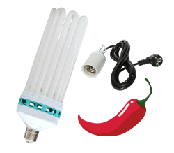 Kit coltivazione peperoncino