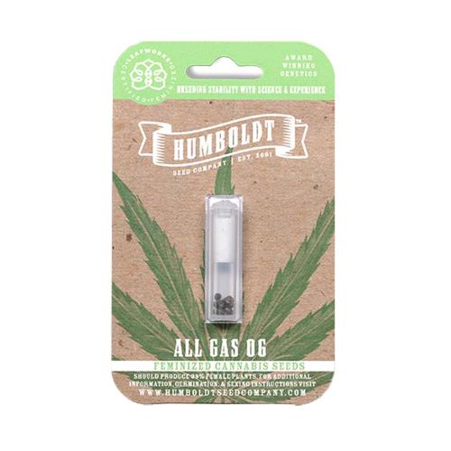 HUMBOLDT SEED COMPANY - ALL GAS OG FEM - 3 SEEDS