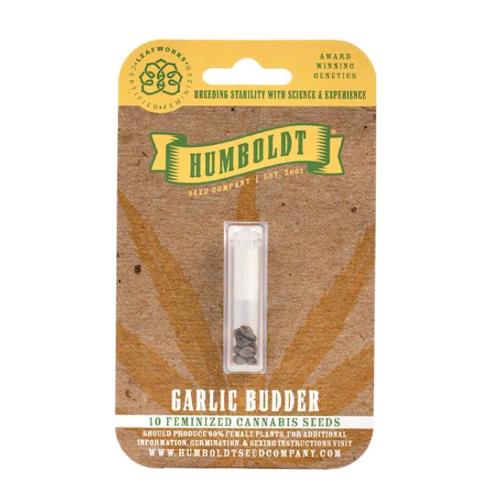 HUMBOLDT SEED COMPANY - GARLIC BUDDER FEM - 5 SEEDS