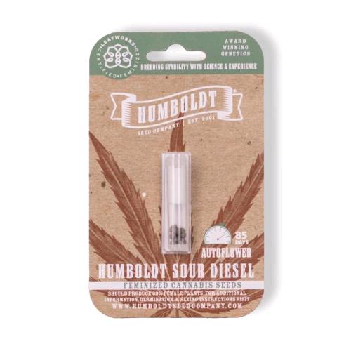 HUMBOLDT SEED COMPANY - CALIFORNIA SOUR DIESEL AUTO - 3 SEEDS