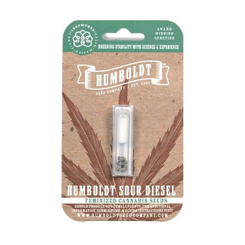 HUMBOLDT SEED COMPANY - CALIFORNIA SOUR DIESEL FEM - 3 SEEDS