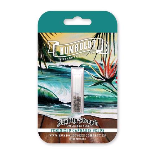 HUMBOLDT SEED COMPANY - SLIGHTLY STOOPID COLLIE MAN KUSH FEM - 3 SEMI