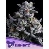ANESIA SEEDS - ELEMENTZ FEM - 3 SEEDS