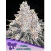 ANESIA SEEDS - FROZEN BLACK CHERRY FEM - 3 SEEDS