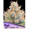 ANESIA SEEDS - FUTURE #1 FEM - 5 SEMI
