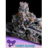 ANESIA SEEDS - HIGH MARS FEM - 3 SEMI