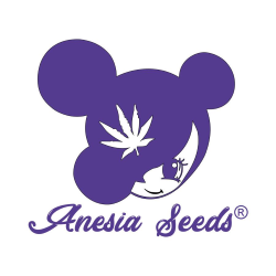 Anesia Seeds