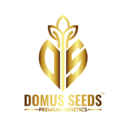 Domus Seeds