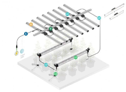 Led Thinkgrow
