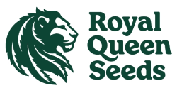 Royal Queen Seeds