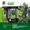 ROYAL QUEEN SEEDS - IGROWCAN - BLUE CHEESE AUTOMATIC