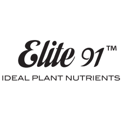 Elite 91