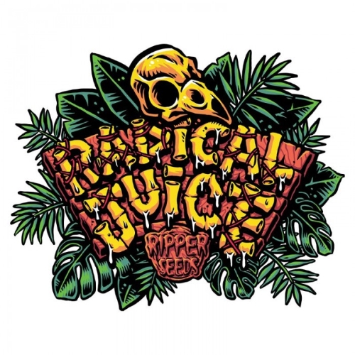 RIPPER SEEDS - RADICAL JUICE AUTO FEM -  3 SEMI