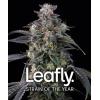 BARNEY'S FARM - SUPER BOOF - LEAFLY STRAIN OF THE YEAR - 5 SEEDS