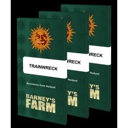 BARNEY'S FARM - TRAINWRECK - 5 SEMI