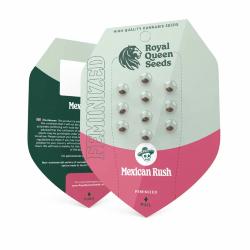 ROYAL QUEEN SEEDS - MEXICAN RUSH FEM - 1 SEME