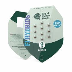 ROYAL QUEEN SEEDS - F1 HYBRIDS - ATLAS F1 AUTO - 3 SEMI