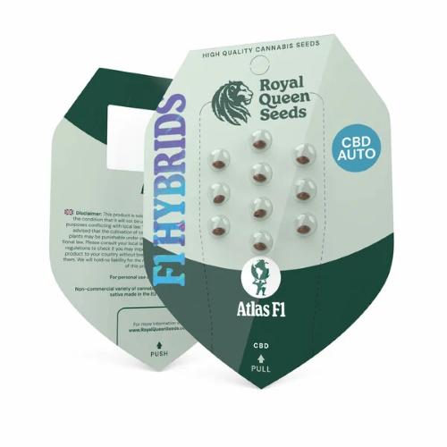 ROYAL QUEEN SEEDS - F1 HYBRIDS - ATLAS F1 AUTO - 3 SEMI