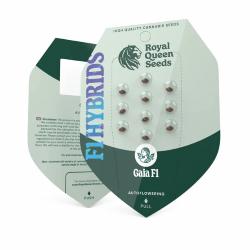 ROYAL QUEEN SEEDS - F1 HYBRIDS - GAIA F1 AUTO - 3 SEME