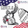 BUDDHA SEEDS - GORILA FEM - BLISTER 10 SEMI SEPARABILI