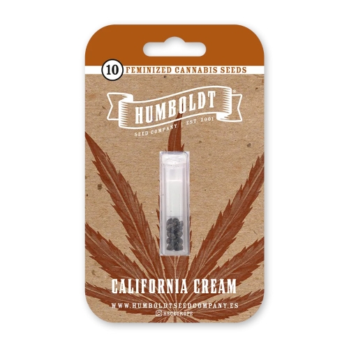 HUMBOLDT SEED COMPANY - CALIFORNIA CREAM FEM - 3 SEMI
