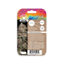 HUMBOLDT SEED COMPANY - GUZZLERZ  FEM - 3 SEMI