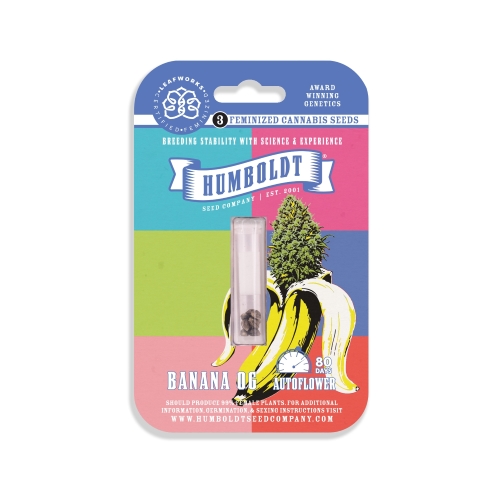 HUMBOLDT SEED COMPANY - BANANA OG AUTO - 3 SEMI
