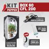 KIT PEPPER - BOX 60 - CFL 200