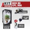 KIT PEPPER - BOX 80 - CFL 300